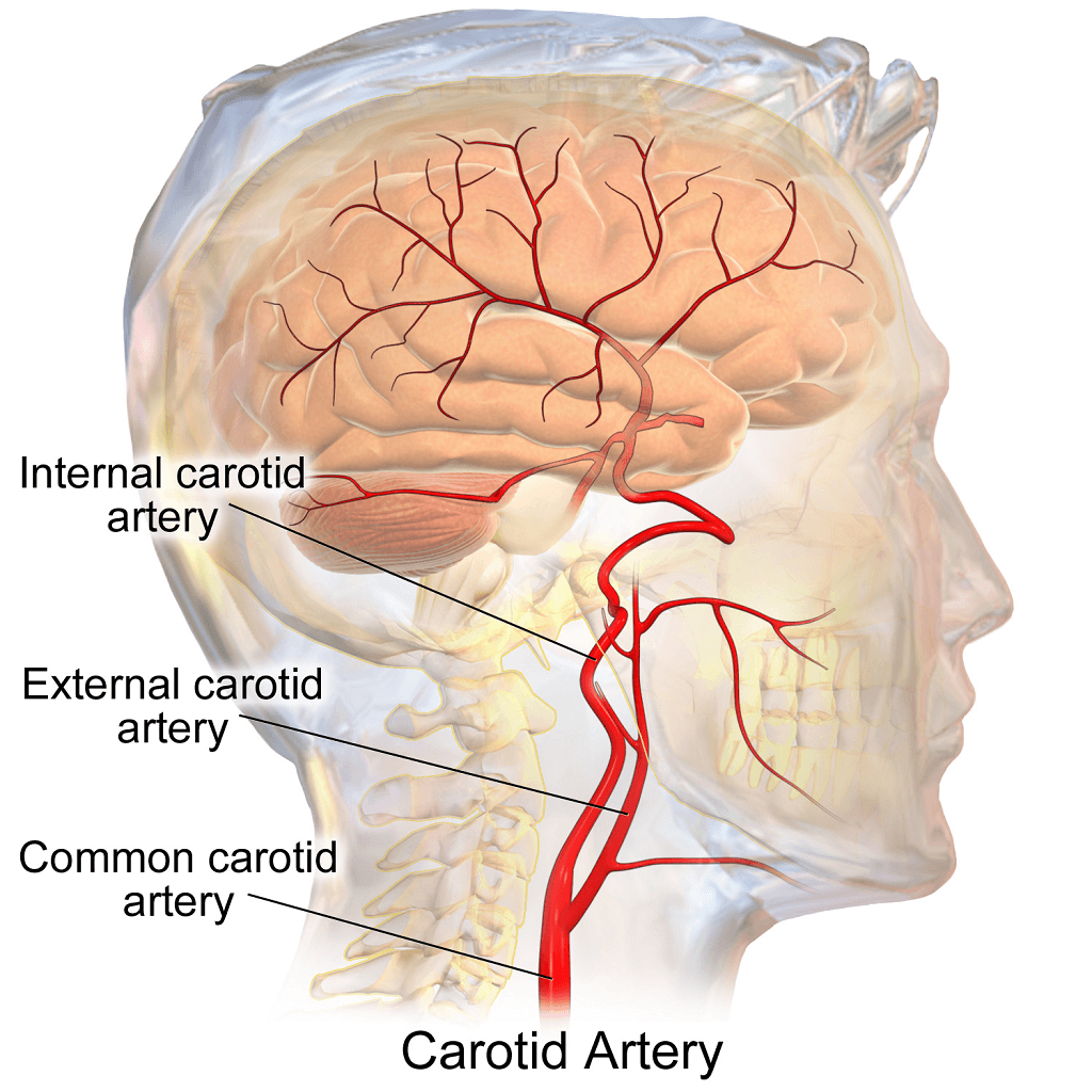 vertebral arter sendromu ve yüksek tansiyon doppler sonografi ve yüksek tansiyon