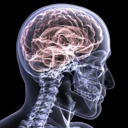 Beyin Hasarı ve Otonomik Belirtiler - Doktor Fizik