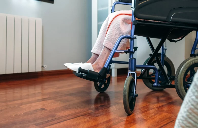parapleji nedir