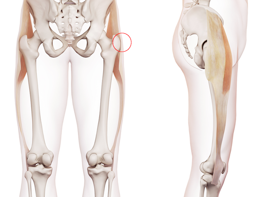 Kalçanın dış kısmında hissedilen atlama veya kıtlama iliotibial bandın kemik üzerinden hareketine bağlı olabilirken ön taraftaki kıtlama kalçanın bükülmesini sağlayan iliopsoas tendonu nedenli olabilir. 