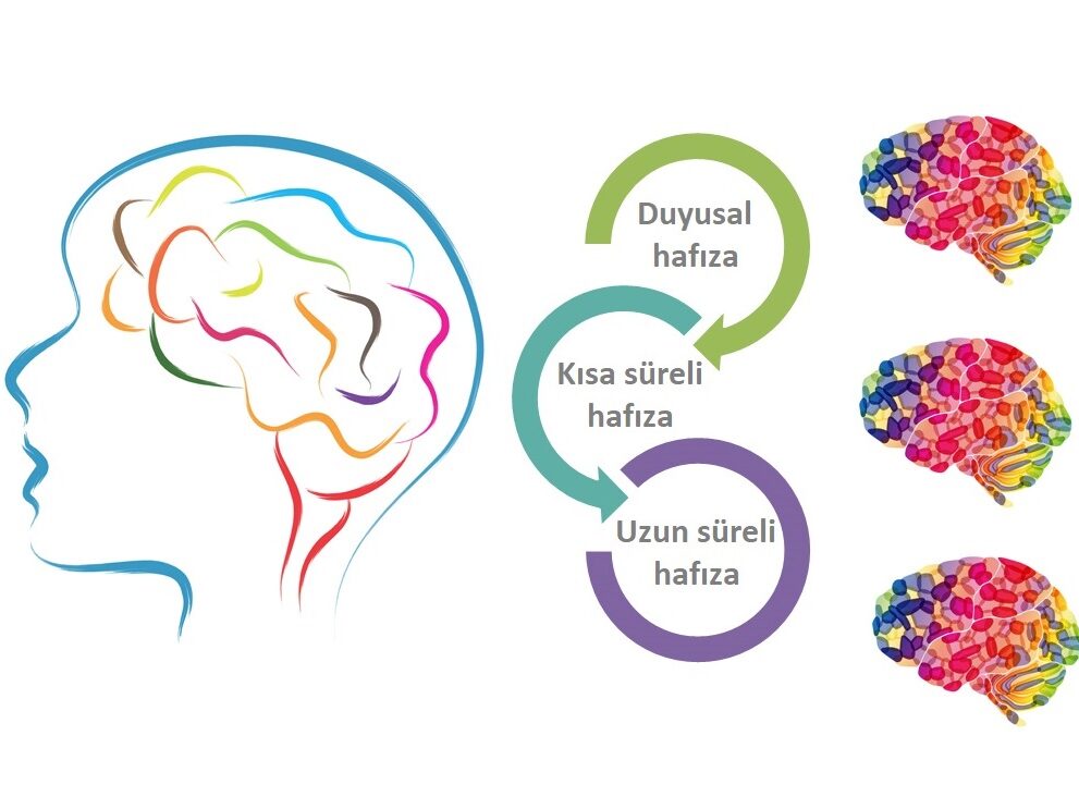 duzgunce s t ret hafizali ayna nedir lonegrovedentist com